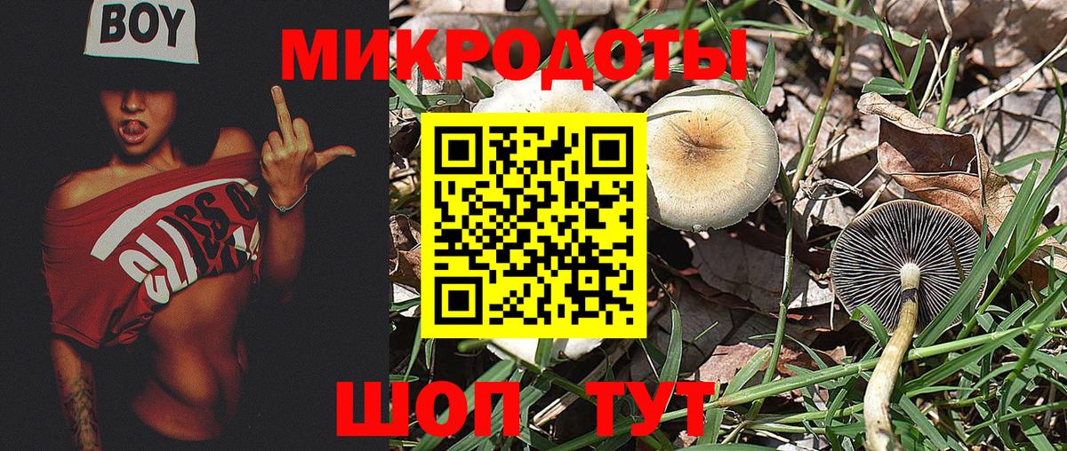 Вязьма  Псилоцибиновые грибы Psilocybe  Вход с VPN  Галлюциногенные грибы ЛСД 