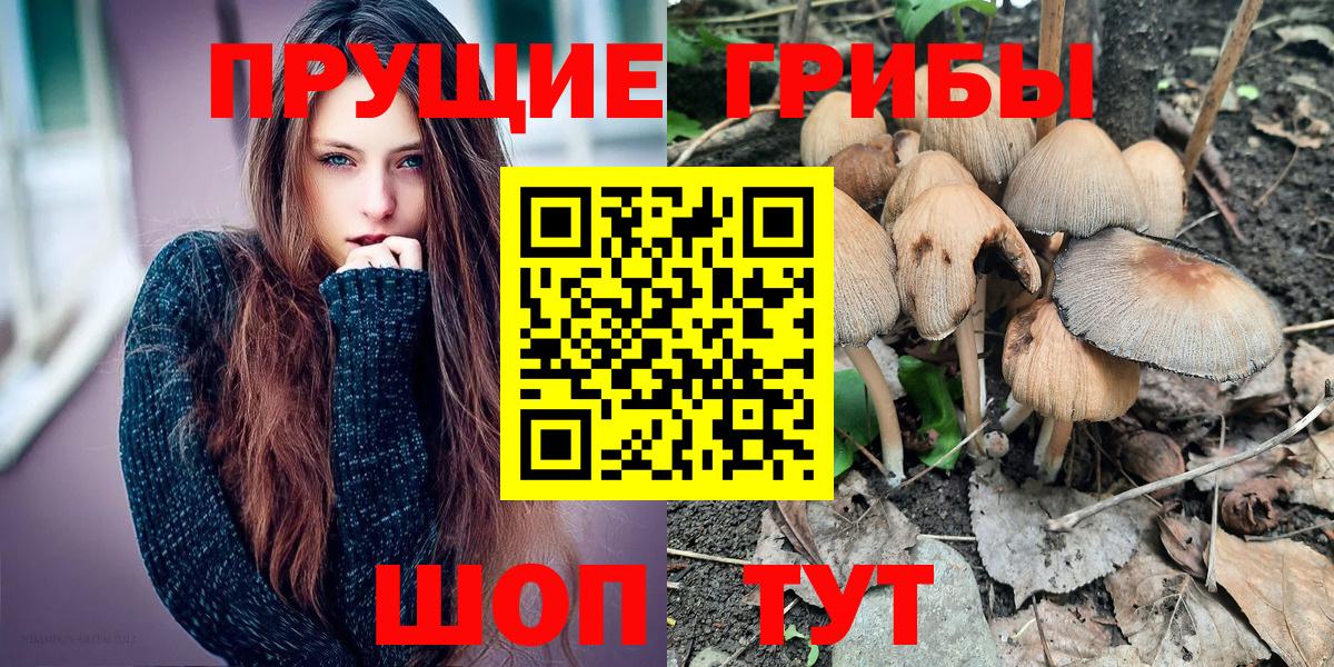 Псилоцибиновые грибы GOLDEN TEACHER Вязьма